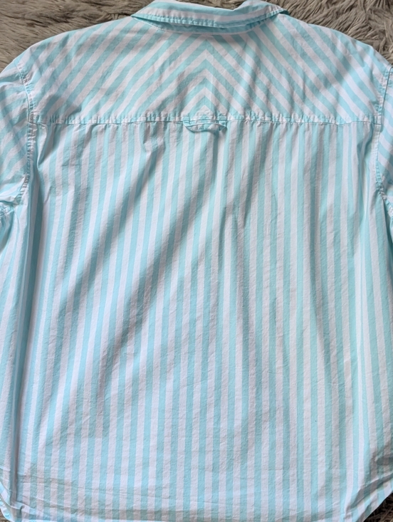 EUC AYR The Deep End Button Down Shirt in Teal Wasabi - Picture 13 of 16